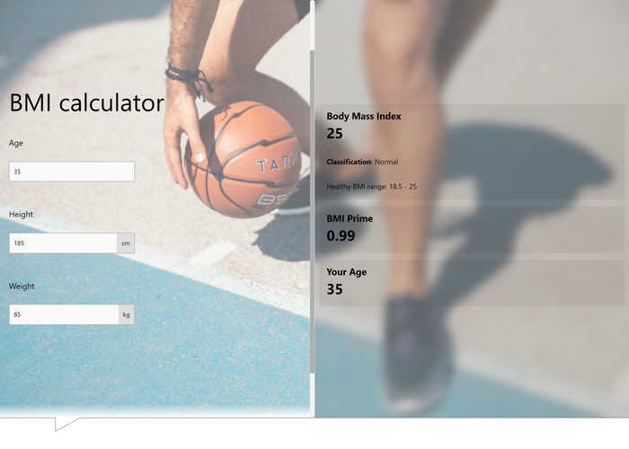 BMI Index Calculators For Websites